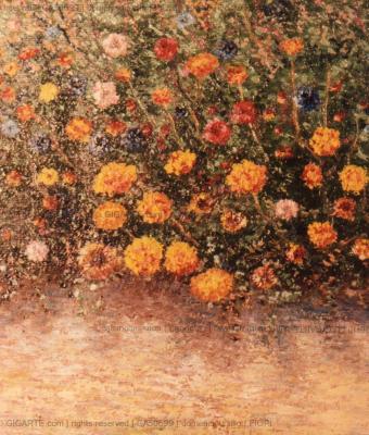 fiori