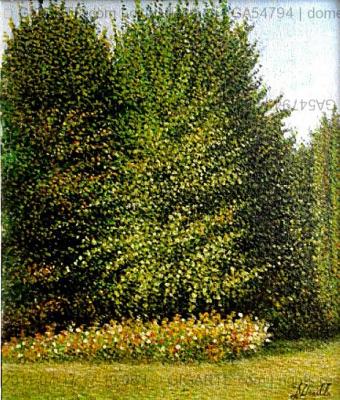 nel-giardino