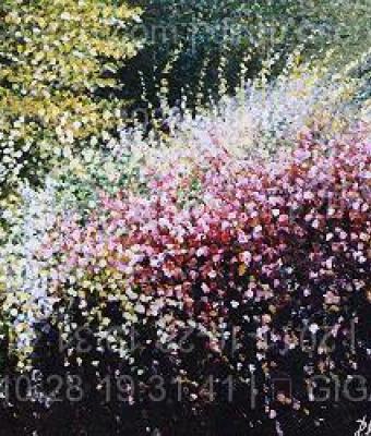 fiori