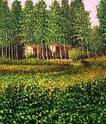 casette-tra-i-pioppi