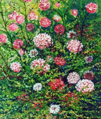 fiori