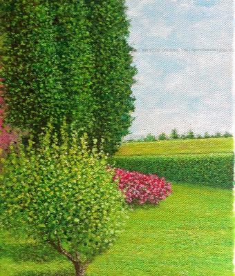 nel-giardino-della-mia-casa