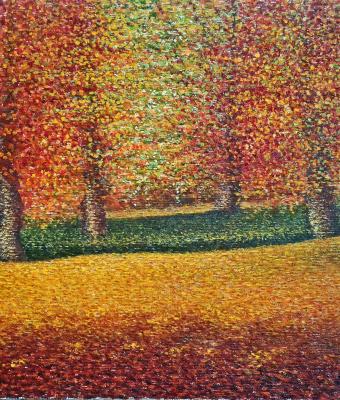 bosco-in-autunno