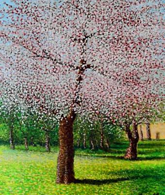 primavera