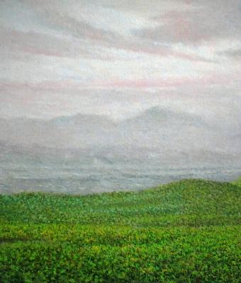 paesaggio-con-nebbia