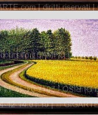 campo-di-riso