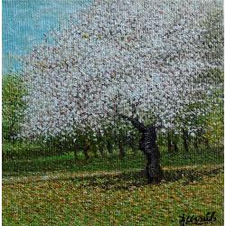 albero-in-fiore