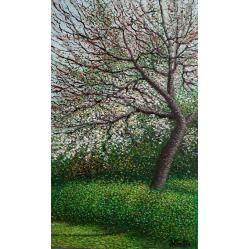 primavera