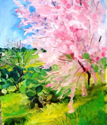 mandorlo-a-primavera