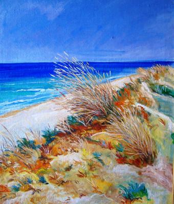 spiaggia-di-torre-pali-salve