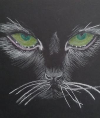 il-gatto-bianco