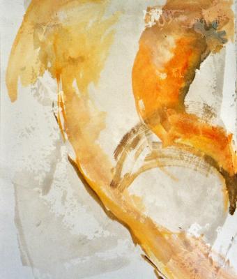 nudo