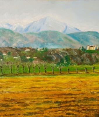 paesaggio-col-castello-di-susa