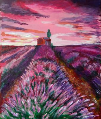 campi-di-lavanda