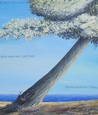 i-love-tree