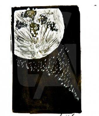 studio-lunare-10