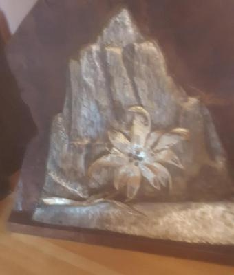 edelweiss