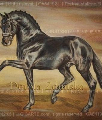 portrait-stallone-furstenbal-o