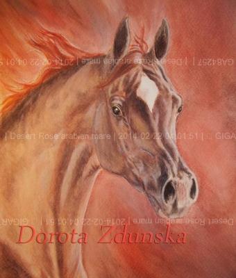 desert-rose-arabian-mare