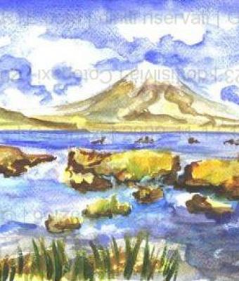 cotopaxi