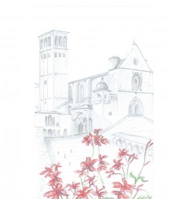 assisi