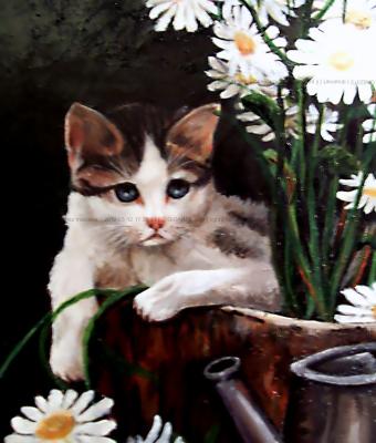 il-pericolo-e-il-mio-mestiere