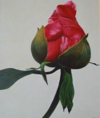 bocciolo