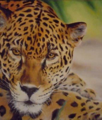 leopardo