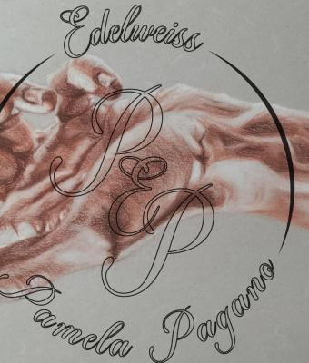 studio-per-mano-sinistra-per-i
