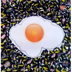 uovo-fritto-cosmico