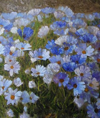 fiori-azzuriedmond-dhrami