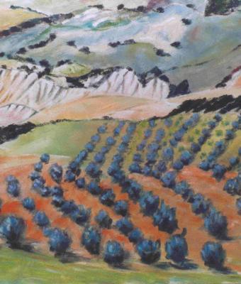 agro-ferrandinese