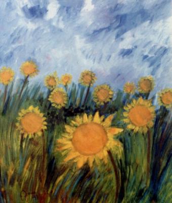 13-girasoli