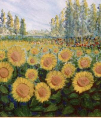 girasoli