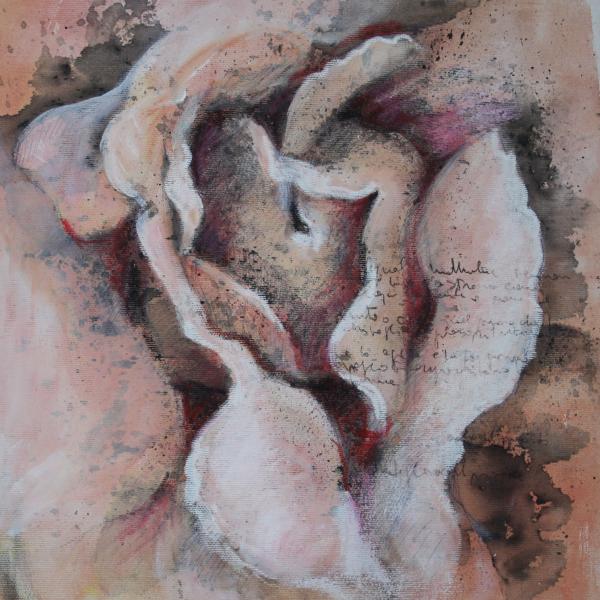 rosa