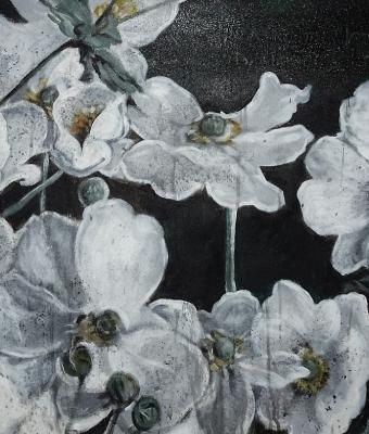 anemoni-4