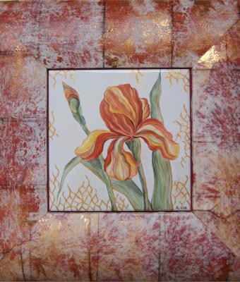 iris