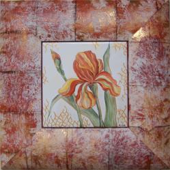 iris