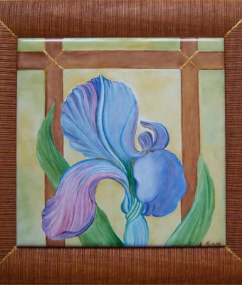 iris-azzurro