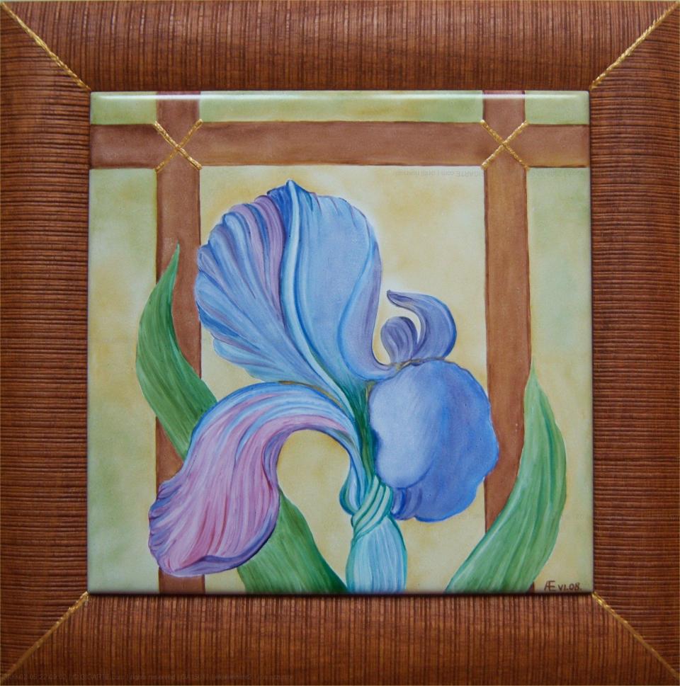 iris-azzurro