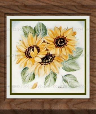 girasoli