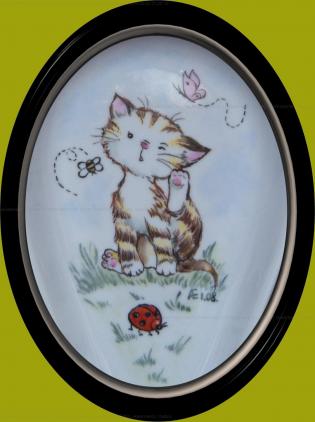 gattino