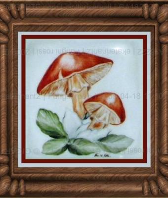 funghi-rossi
