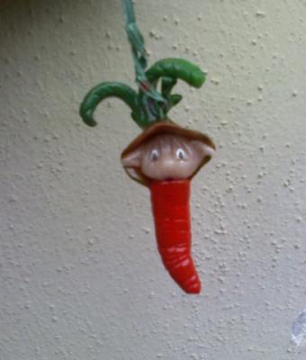 gnomo-carotina