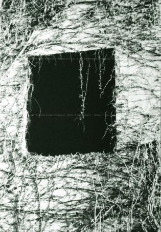 raccolta-quotvita-fuori-e-d