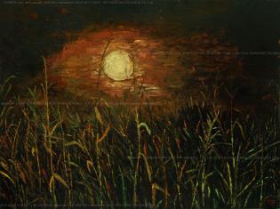 sole-notturno-seconda-ora