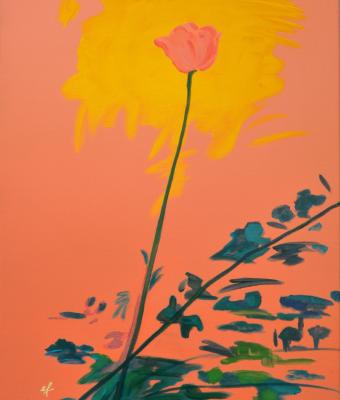 fiori-rosa