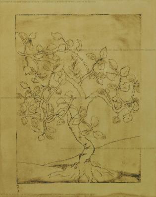 l-albero-di-ferro