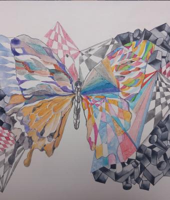 farfalla