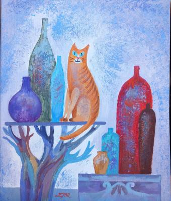 gatto-meticcio